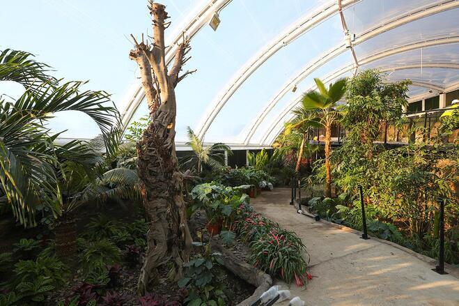 ETFE Biome Roof